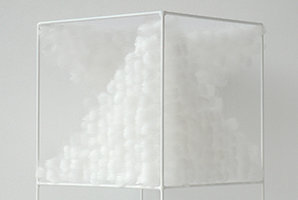 Lucile Bertrand - Section oblique 2