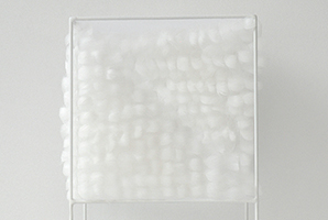 Lucile Bertrand - Section oblique 2