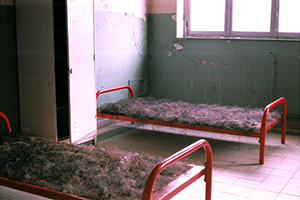 Lucile Bertrand - Transit