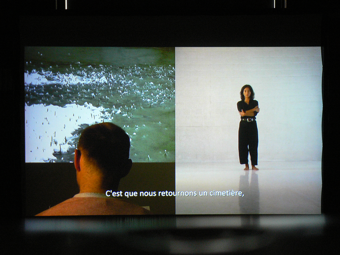 Lucile Bertrand - Amnesia